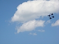 Western Michigan [2010] 495